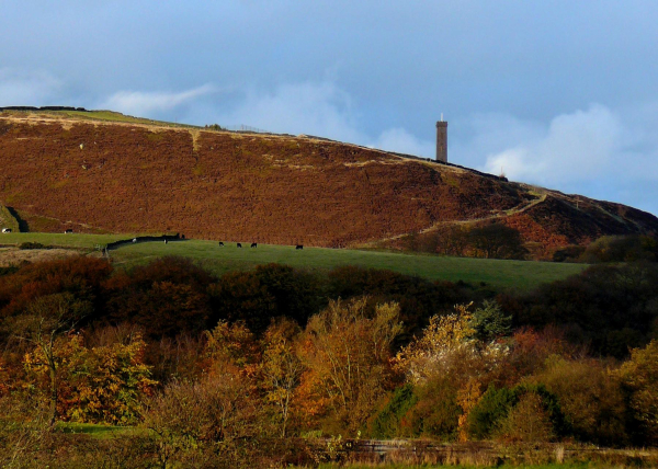 Autumn view of Reddisher woods and Holcombe Hill
18-Agriculture and the Natural Environment-03-Topography and Landscapes-001-Holcombe Hill
Keywords: 2007