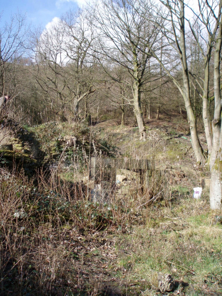 Kibboth Crew - Before and after the dig 
01-Ramsbottom Heritage Society-01-RHS Activities-011-Kibboth Crew Dig
Keywords: 2007
