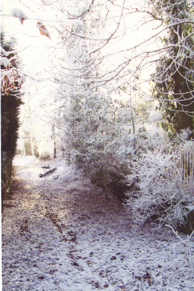 Old Lane leading to Carr Bank 
17-Buildings and the Urban Environment-05-Street Scenes-006-Carr Street and Tanners area
Keywords: 2008