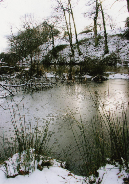 Simons Lodge, Redisher Woods 
17-Buildings and the Urban Environment-05-Street Scenes-013-Holcombe Brook Area
Keywords: 2008
