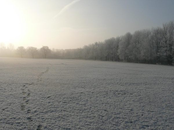 Nuttall Park snow
14-Leisure-01-Parks and Gardens-001-Nuttall Park General
Keywords: 2008