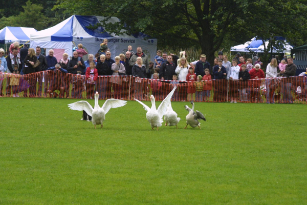 Nuttall Park Extravanga
14-Leisure-01-Parks and Gardens-001-Nuttall Park General
Keywords: 2008