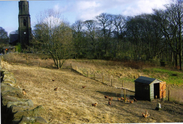 Holcombe Chickens  with view of Holcombe Church
to be catalogued
Keywords: 2008