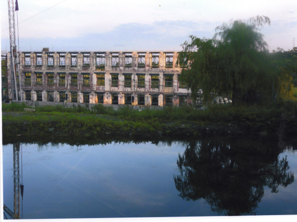 Remains of Wood Hey Dying Co. - Hawkshaw 
02-Industry-01-Mills-000-General

Keywords: 2009