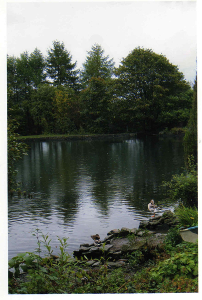 Springwood Lodge 
17-Buildings and the Urban Environment-05-Street Scenes-006-Carr Street and Tanners area
Keywords: 2010