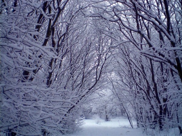 Winter Scene - riverside path, Nuttall 
17-Buildings and the Urban Environment-05-Street Scenes-019-Nuttall area
Keywords: 2010