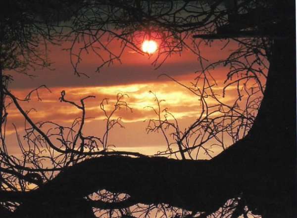 Christmas Day sunset over Summerseat 
17-Buildings and the Urban Environment-05-Street Scenes-028-Summerseat Area
Keywords: 2010