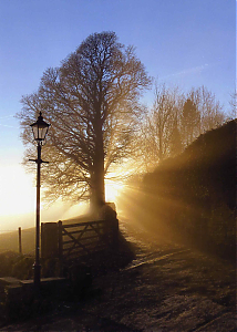 Filename=RHSDC21-COMP-HPC2010TC-014.JPG
Filesize=235KiB
Dimensions=1288x1800
Date added=Feb 07, 2026 RHSDC21-COMP-HPC2010TC-014.JPG