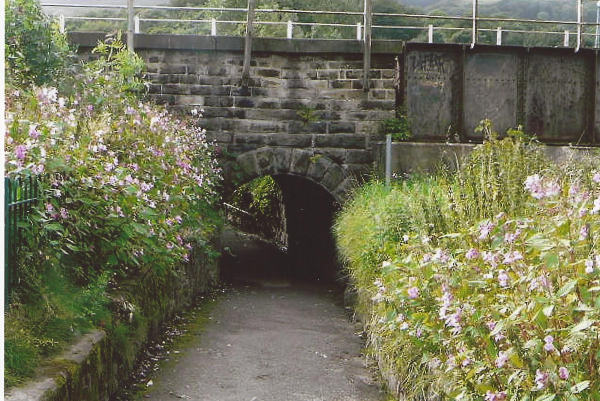 The Invasion of the Himilayan Balsam by the tunnel in Nuttall Park
14-Leisure-01-Parks and Gardens-001-Nuttall Park General

Keywords: 2012