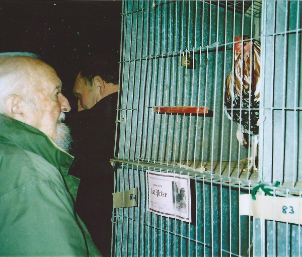 Holcombe Old English Game Fowl Club Annual Show, British Legion
14-Leisure-04-Events-000-General
Keywords: 2012