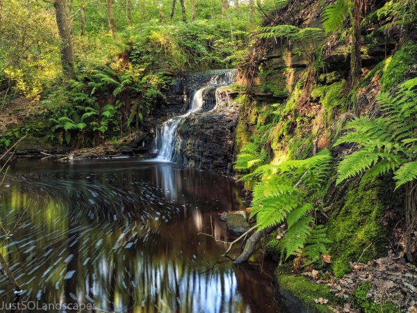 Waterfall from Simon's Lodge,Redisher Woods 
17-Buildings and the Urban Environment-05-Street Scenes-013-Holcombe Brook Area
Keywords: 2014