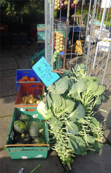 Farmers Market 12 Oct 2014 
14-Leisure-04-Events-006-Markets
Keywords: 2014