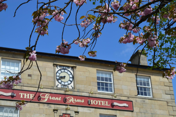 Blossom time at the Grant Arms Hotel 
14-Leisure-05-Pubs-012-Grant Arms
Keywords: 2015