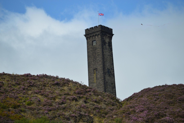 Holcolmbe Hill at September heather time 
18-Agriculture and the Natural Environment-03-Topography and Landscapes-001-Holcombe Hill

Keywords: 2015