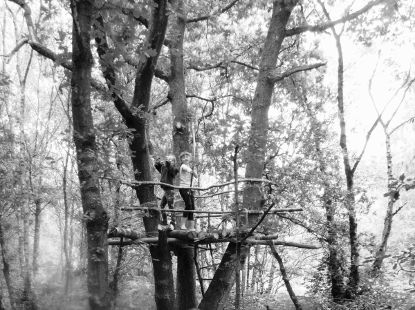 The Communitree Initative on the Island at  Summerseat. June 2015 
17-Buildings and the Urban Environment-05-Street Scenes-028-Summerseat Area
Keywords: 2015