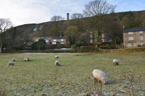 View from Holcombe Hill 
18-Agriculture and the Natural Environment-03-Topography and Landscapes-001-Holcombe Hill
Keywords: 2015