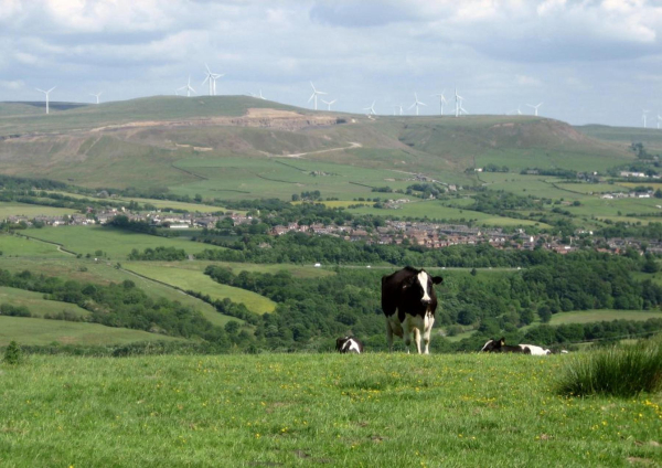 Wind Turbines from above Irwell Vale?  
to be catalogued
Keywords: 2015