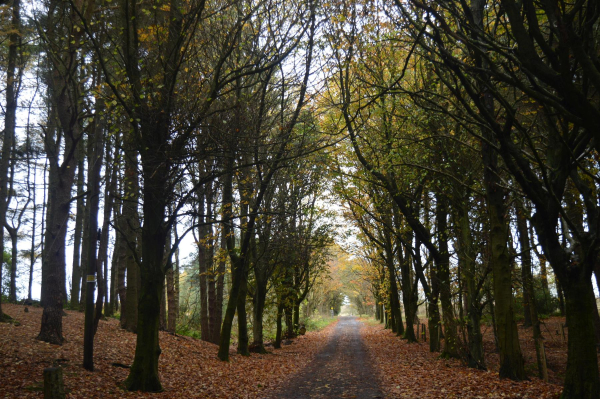 Edenfield New Road in Autumn
17-Buildings and the Urban Environment-05-Street Scenes-011-Edenfield
Keywords: 2015