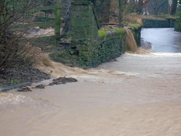 Flooding from Springwood Lodge
17-Buildings and the Urban Environment-05-Street Scenes-019-Nuttall area
Keywords: 2015