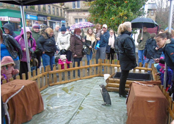 Ramsbottom Christmas Festivities 13th and 20th December 
to be catalogued
Keywords: 2015