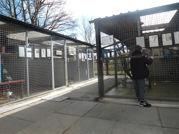 BleakHolt Farm Cattery Block
19-Animals and Plants-01-General-001-Bleakholt Animal Sanctuary
Keywords: 2016