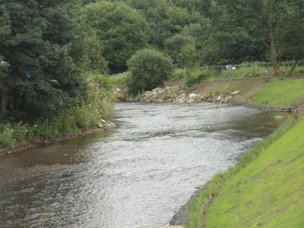 Flood Defence Complete Nuttall Park 1
14-Leisure-01-Parks and Gardens-001-Nuttall Park General
Keywords: 2016