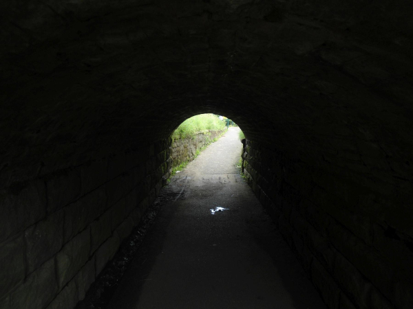Inside tunnel Nuttall Park
14-Leisure-01-Parks and Gardens-001-Nuttall Park General
Keywords: 2016