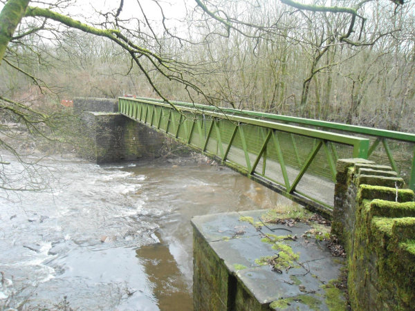 Iron Bridge Nuttall Park 1
14-Leisure-01-Parks and Gardens-001-Nuttall Park General
Keywords: 2016