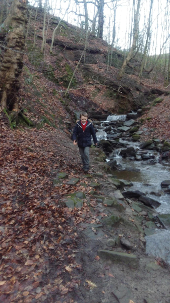 It's a bit slippery top of water fall Nuttall Park
14-Leisure-01-Parks and Gardens-001-Nuttall Park General
Keywords: 2016