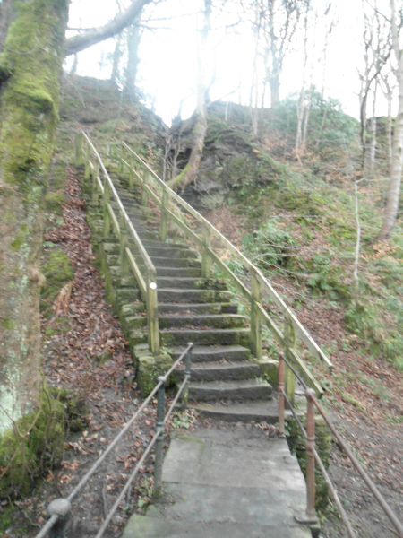 Jacobs Ladder
14-Leisure-01-Parks and Gardens-001-Nuttall Park General
Keywords: 2016