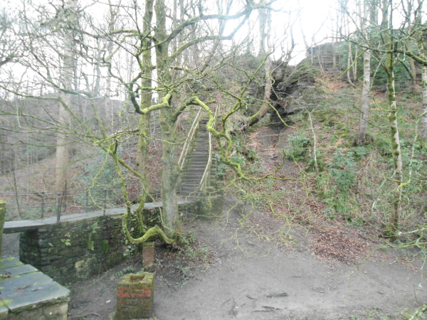 Jacob's Ladder Summer
14-Leisure-01-Parks and Gardens-001-Nuttall Park General
Keywords: 2016