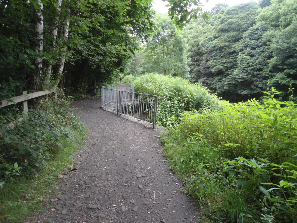 Path from Nuttall Lane to Park
17-Buildings and the Urban Environment-05-Street Scenes-019-Nuttall area
Keywords: 2016