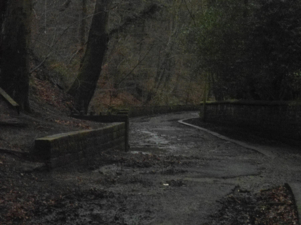 Path from Nuttall Park to wards Iron Bridge
14-Leisure-01-Parks and Gardens-001-Nuttall Park General
Keywords: 2016