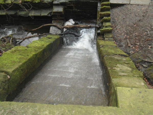 Waterfall Nuttall Park 1
14-Leisure-01-Parks and Gardens-001-Nuttall Park General
Keywords: 2016