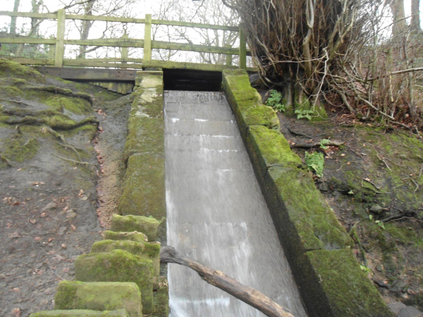 Geoffrey Street taken from Lumb Carr Road 
17-Buildings and the Urban Environment-05-Street Scenes-013-Holcombe Brook Area
Keywords: 2016