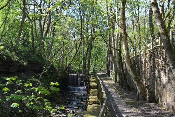 Holcombe Brook between Pot Green/Summerseat Lane and Woodhey Road
17-Buildings and the Urban Environment-05-Street Scenes-013-Holcombe Brook Area
Keywords: 2016