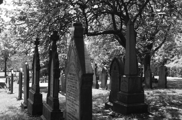 Ramsbottom Cemetery
17-Buildings and the Urban Environment-05-Street Scenes-007-Cemetery Road
Keywords: 2016