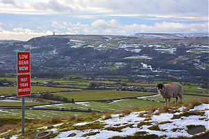 Filename=RHSDC21-COMP-HPC2016TH-355.JPG
Filesize=314KiB
Dimensions=1800x1200
Date added=Feb 07, 2026 RHSDC21-COMP-HPC2016TH-355.JPG