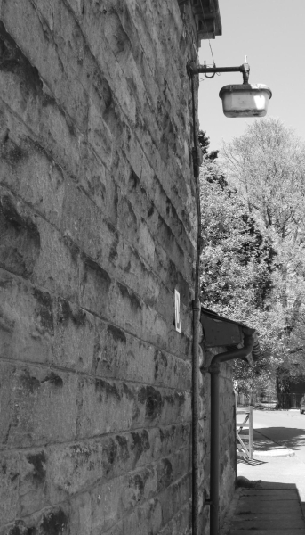 Black and white picture of TNT
06-Religion-03-Churches Together-001-Whit Walks
Keywords: 2017