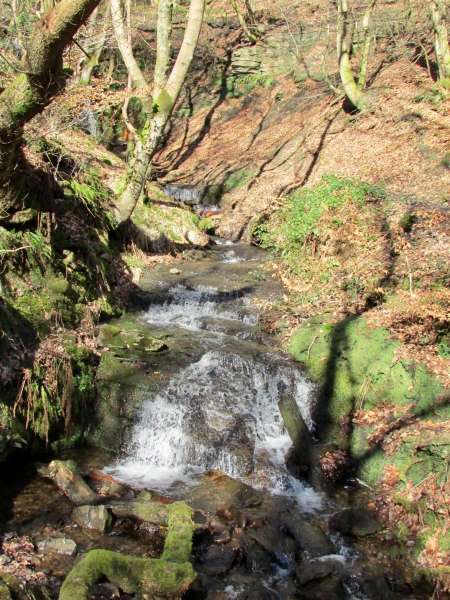 Redisher Woods 
17-Buildings and the Urban Environment-05-Street Scenes-013-Holcombe Brook Area
Keywords: 2017