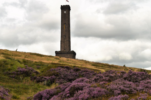 Heather on the hill Tower open in August
18-Agriculture and the Natural Environment-03-Topography and Landscapes-001-Holcombe Hill
Keywords: 2017