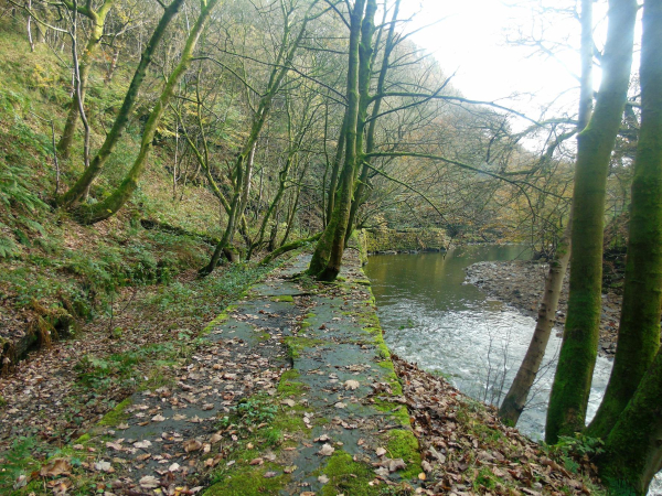 Gollinrod Gorge, showing Nuttall Mills tail race which enters a tunnel before exiting into River Irwell 
17-Buildings and the Urban Environment-05-Street Scenes-019-Nuttall area
Keywords: 2017
