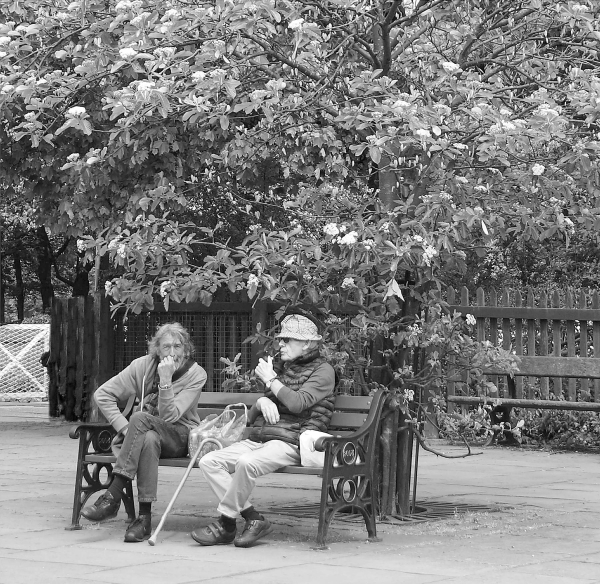 Relaxing on Railway Street 
17-Buildings and the Urban Environment-05-Street Scenes-022-Railway Street
Keywords: 2018