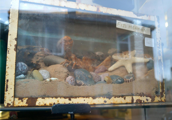 Mermaid for sale at Jesse Mays vintage store 
17-Buildings and the Urban Environment-05-Street Scenes-003-Bridge Street
Keywords: 2018