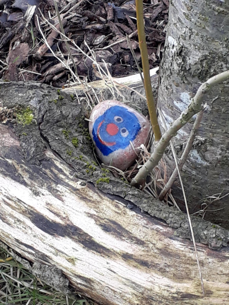 Day out Bleakholt Animal Sanctuary hiding Ram my Rocks 
19-Animals and Plants-01-General-001-Bleakholt Animal Sanctuary
Keywords: 2018