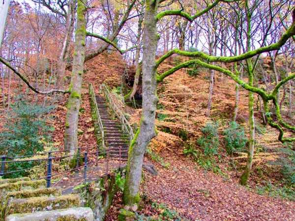 Jacobs Ladder in the Autumn
14-Leisure-01-Parks and Gardens-001-Nuttall Park General
Keywords: 2018