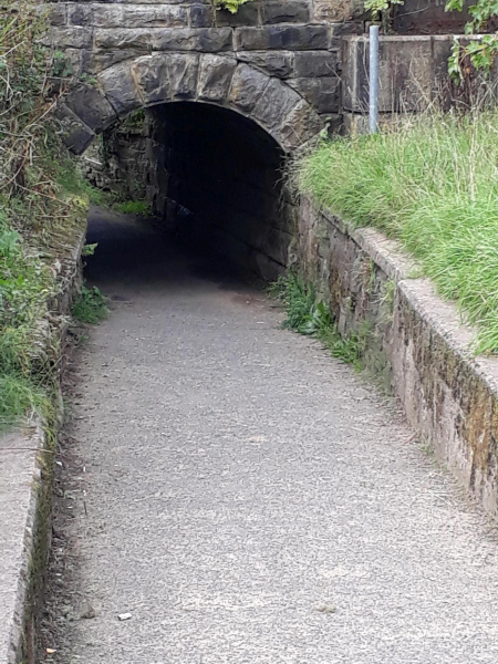 Tunnel leading from Nuttall Park to Cormar Carpets
14-Leisure-01-Parks and Gardens-001-Nuttall Park General
Keywords: 2018