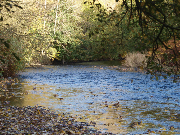 River Irwell Nuttall Park
14-Leisure-01-Parks and Gardens-001-Nuttall Park General
Keywords: 2018