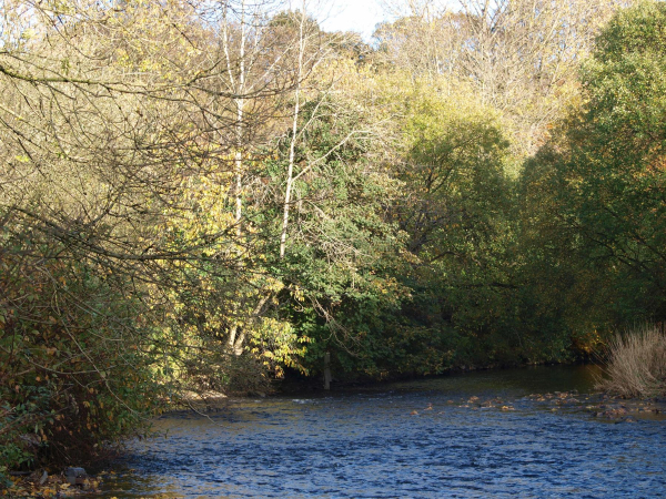 River Irwell Nuttall Park
14-Leisure-01-Parks and Gardens-001-Nuttall Park General
Keywords: 2018