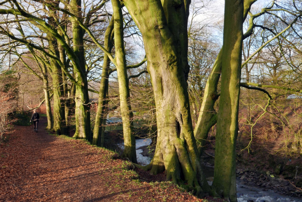 River Irwell at Summerseat 
17-Buildings and the Urban Environment-05-Street Scenes-028-Summerseat Area
Keywords: 2018